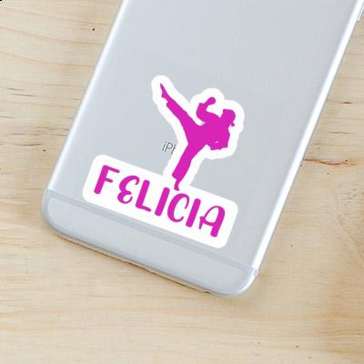 Felicia Sticker Karateka Notebook Felicia Sticker Karateka Gift package Image