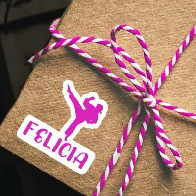 Felicia Sticker Karateka Felicia Sticker Karateka Image