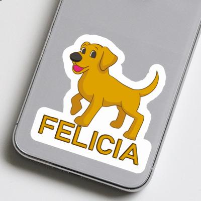 Autocollant Labrador Felicia Notebook Autocollant Labrador Felicia Gift package Image