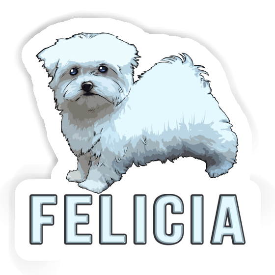 Felicia Autocollant Maltais Notebook Felicia Autocollant Maltais Notebook Image