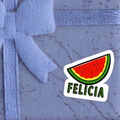 Melon Sticker Felicia Notebook Melon Sticker Felicia Gift package Image