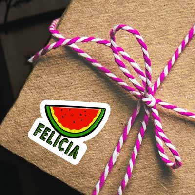 Melon Sticker Felicia Gift package Image