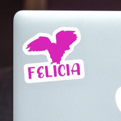 Felicia Sticker Owl Notebook Felicia Sticker Owl Gift package Image