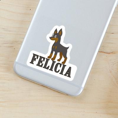 Pinscher Aufkleber Felicia Notebook Pinscher Aufkleber Felicia Gift package Image