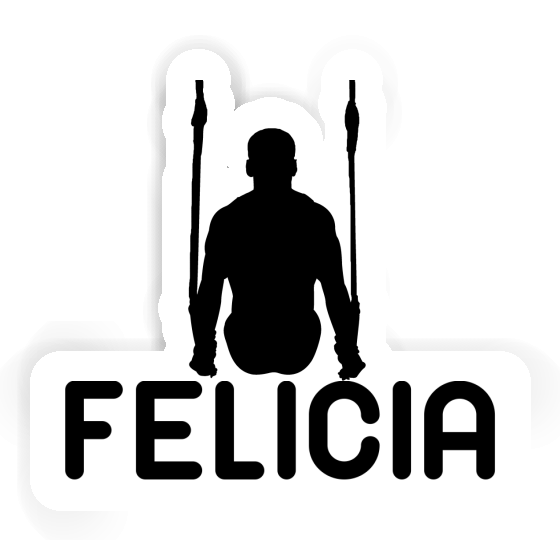 Felicia Sticker Ringturner Notebook Felicia Sticker Ringturner Gift package Image