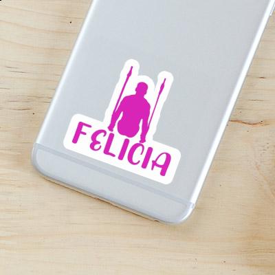 Sticker Felicia Ringturnerin Gift package Image