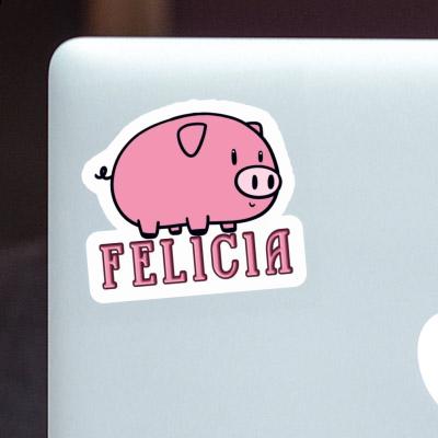Felicia Sticker Schwein Laptop Felicia Sticker Schwein Laptop Image