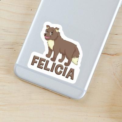 Sheepdog Sticker Felicia Gift package Image