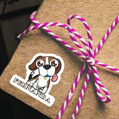 Beagle Autocollant Fernanda Gift package Image