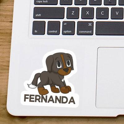 Berner Sennenhund Sticker Fernanda Gift package Image