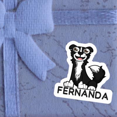 Sticker Collie Fernanda Gift package Image