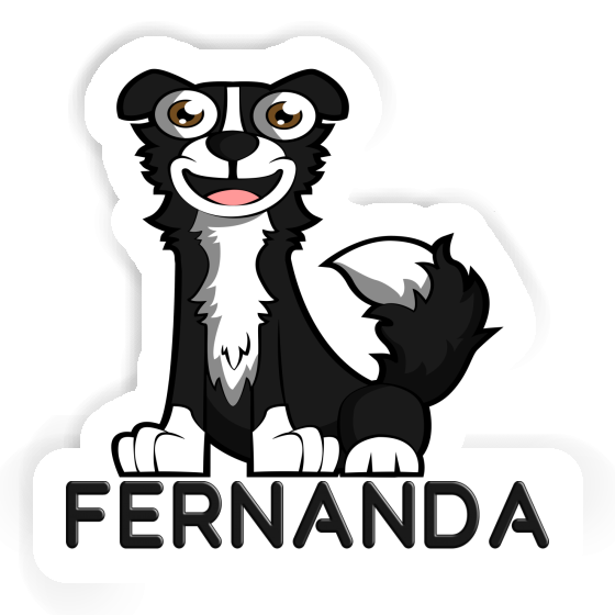 Fernanda Aufkleber Collie Gift package Image