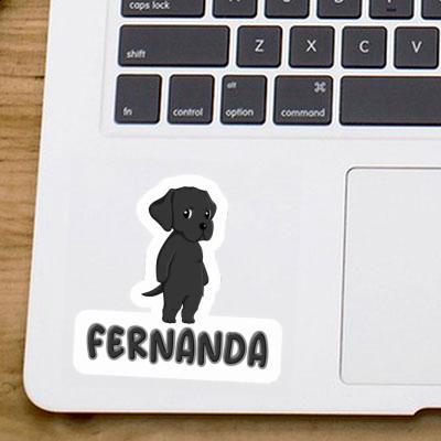 Fernanda Sticker Labrador Gift package Image