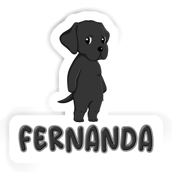 Labrador Autocollant Fernanda Gift package Image