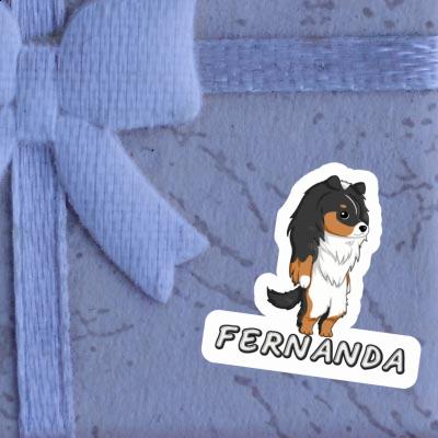 Aufkleber Sheltie Fernanda Gift package Image