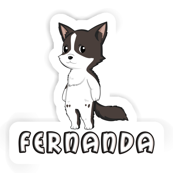 Border Collie Sticker Fernanda Gift package Image