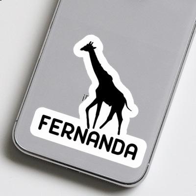 Fernanda Sticker Giraffe Gift package Image