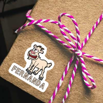 Fernanda Sticker Goat Gift package Image