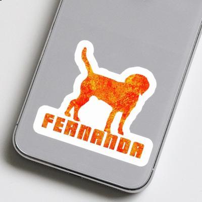 Fernanda Sticker Hound Gift package Image