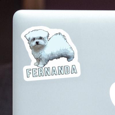 Sticker Fernanda Malteserhund Gift package Image