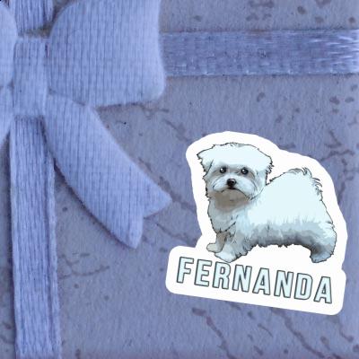 Sticker Maltese Dog Fernanda Laptop Image