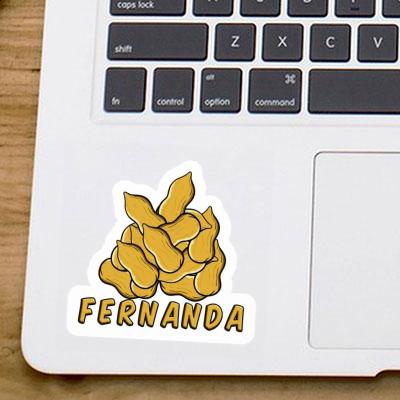 Sticker Peanut Fernanda Gift package Image