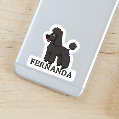 Caniche Autocollant Fernanda Gift package Image