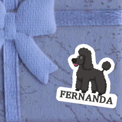 Caniche Autocollant Fernanda Gift package Image