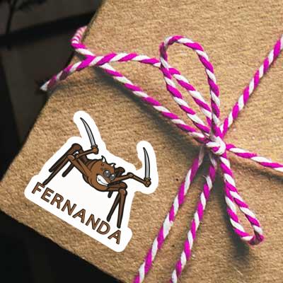 Sticker Fernanda Fighting Spider Gift package Image