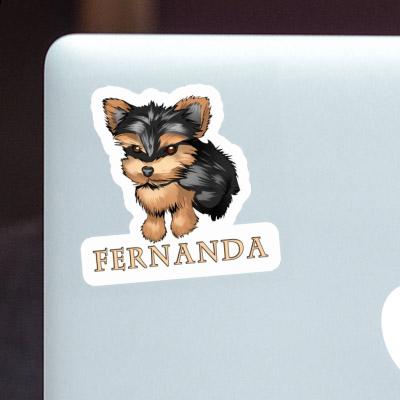 Autocollant Fernanda Yorkshire Terrier Gift package Image