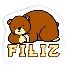 Bear Sticker Filiz Image