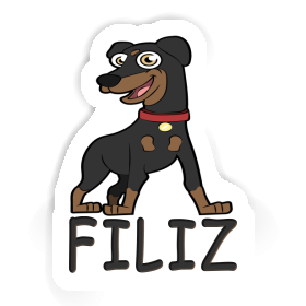 Sticker German Pinscher Filiz Image