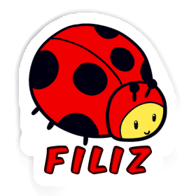 Ladybug Sticker Filiz Image