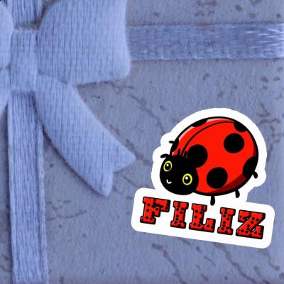 Sticker Ladybug Filiz Notebook Sticker Ladybug Filiz Gift package Image