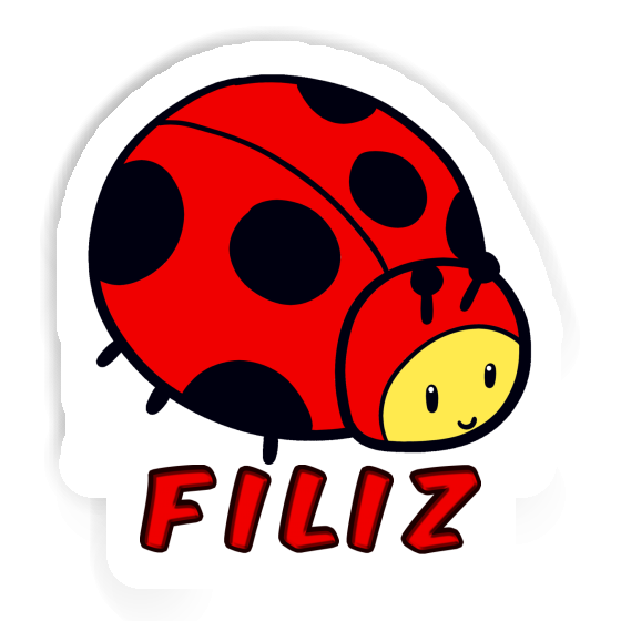 Ladybug Sticker Filiz Notebook Ladybug Sticker Filiz Gift package Image