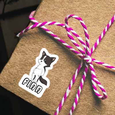 Finn Sticker Border Collie Gift package Image
