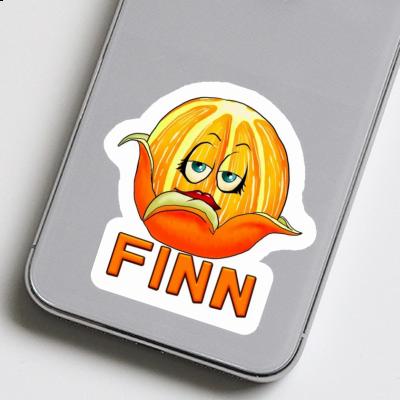 Orange Sticker Finn Notebook Image