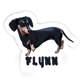 Teckel Autocollant Flynn Image