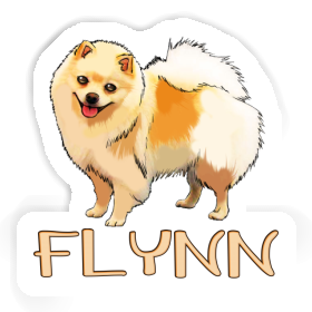 Autocollant Spitz allemand Flynn Image