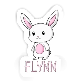 Autocollant Flynn Lapin Image