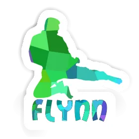 Autocollant Flynn Karatéka Image