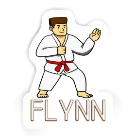 Flynn Autocollant Karatéka Image