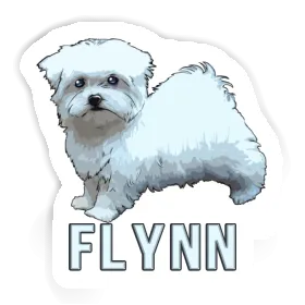 Autocollant Maltais Flynn Image
