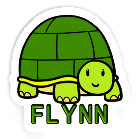 Autocollant Tortue Flynn Image