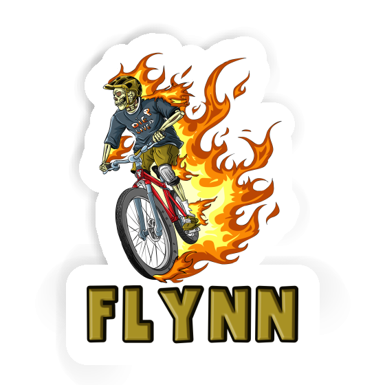 Autocollant Flynn VTTiste Notebook Image