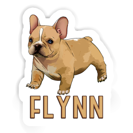 Bouledogue Autocollant Flynn Gift package Image