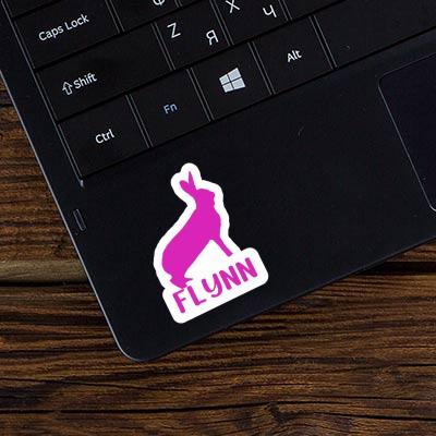Lapin Autocollant Flynn Gift package Image