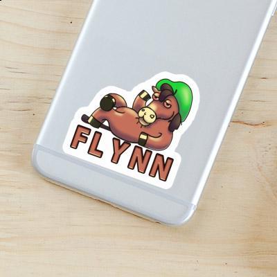 Autocollant Flynn Cheval Gift package Image