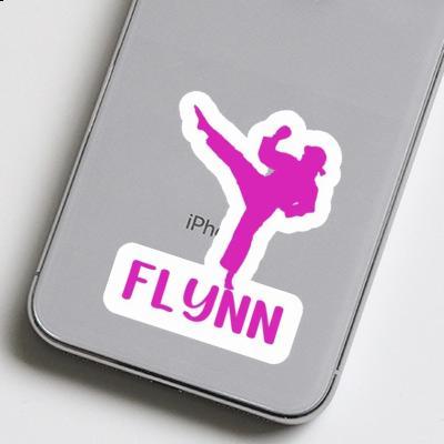 Autocollant Karatéka Flynn Gift package Image