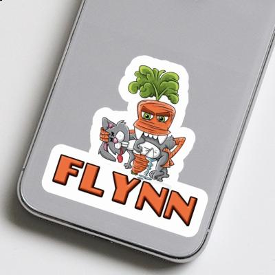 Autocollant Carotte monstre Flynn Gift package Image